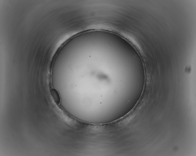 X0000091861040200709261250