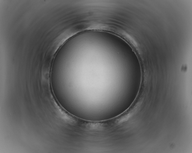 X0000091861041200709261250