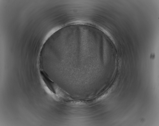 X0000091861042200709261250