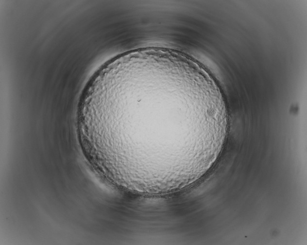 X0000091861043200709261250