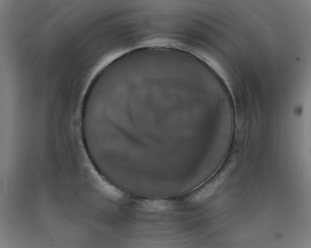 X0000091861045200709261250