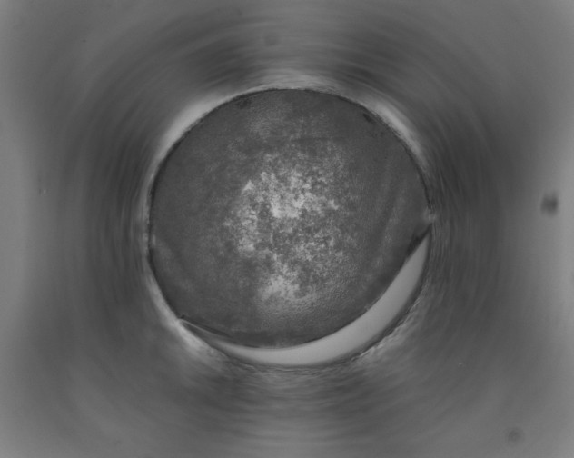 X0000091861046200709261250