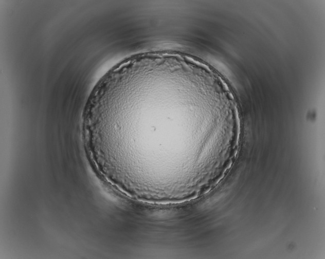 X0000091861047200709261250