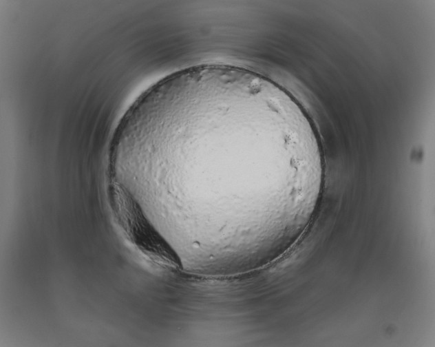 X0000091861048200709261250