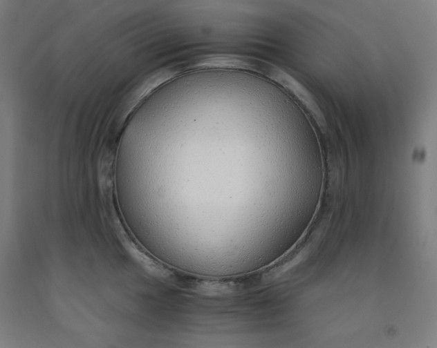 X0000091861049200709261250