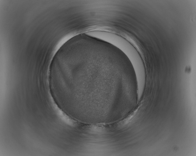 X0000091861050200709261250