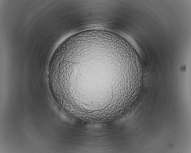 X0000091861051200709261250