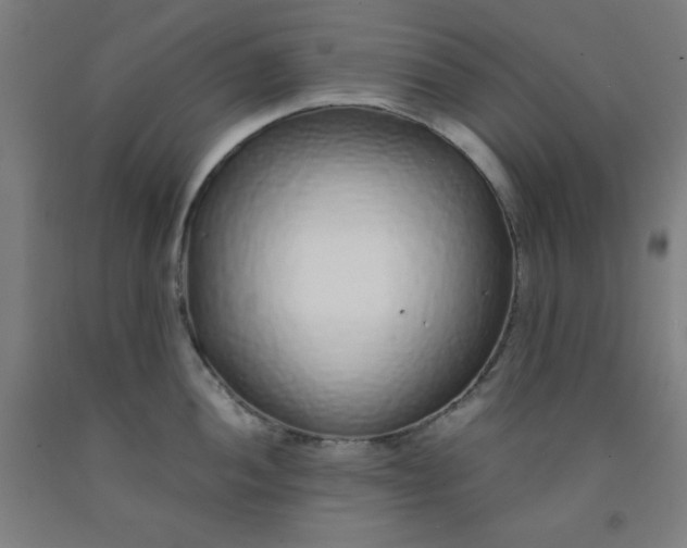 X0000091861052200709261250