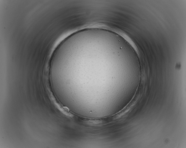 X0000091861053200709261250