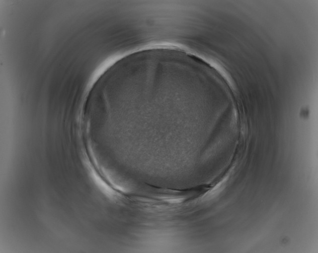 X0000091861054200709261250