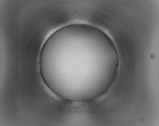 X0000091861056200709261250