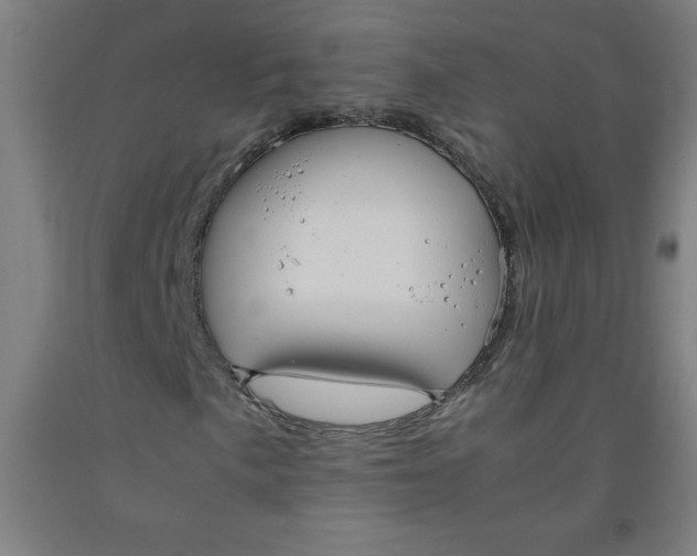 X0000091861057200709261250