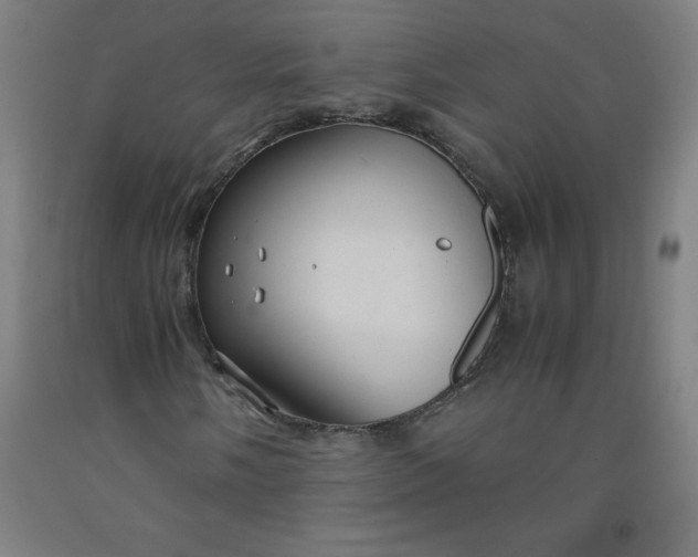 X0000091861058200709261250