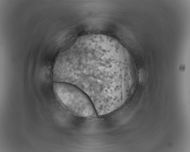 X0000091861059200709261250