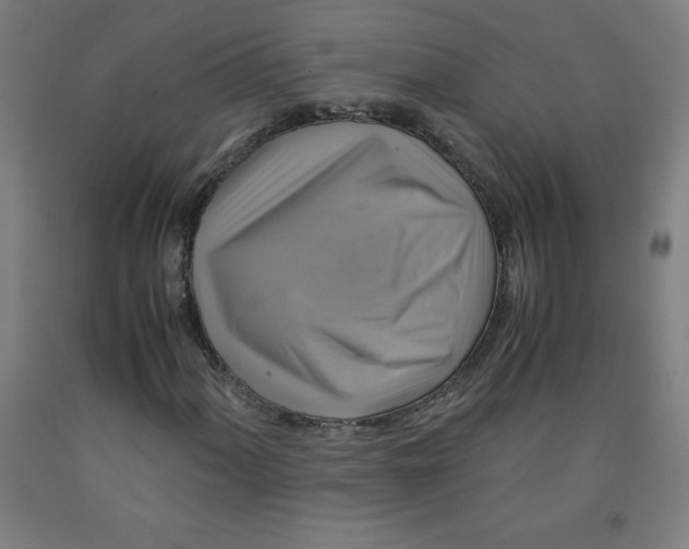 X0000091861060200709261250