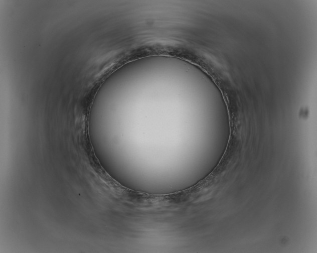 X0000091861061200709261250