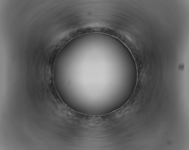 X0000091861062200709261250