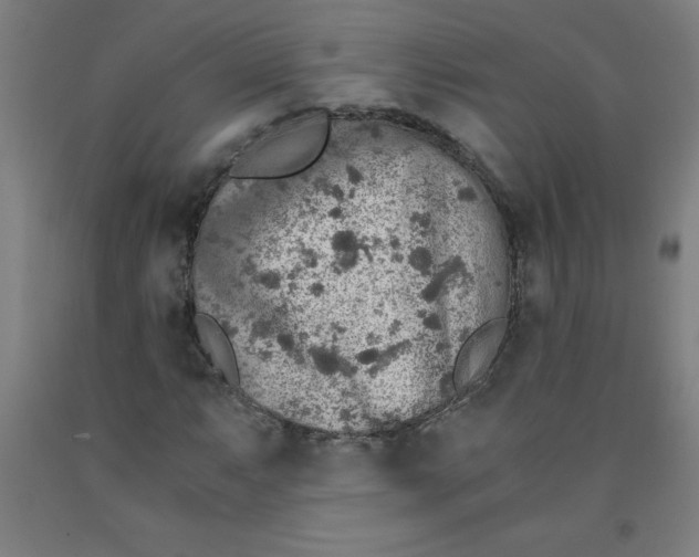 X0000091861063200709261250