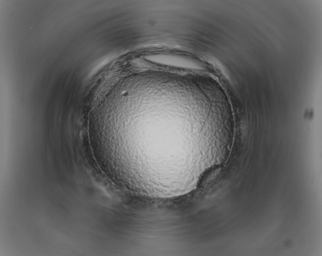 X0000091861064200709261250