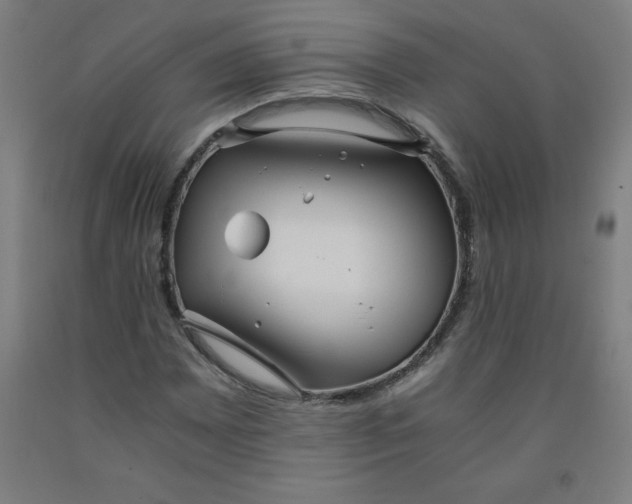 X0000091861065200709261250