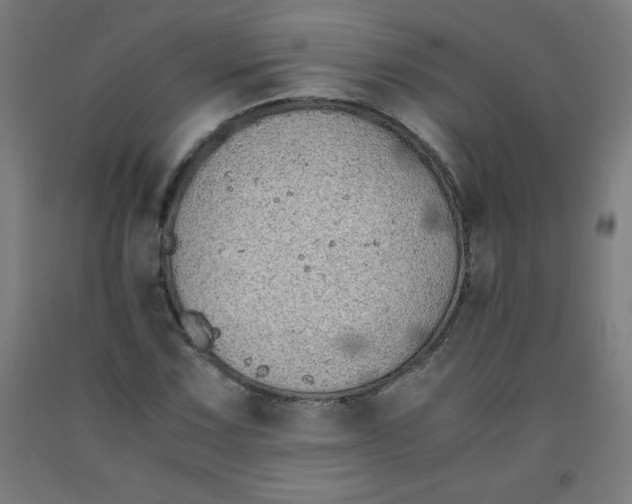 X0000091861067200709261250