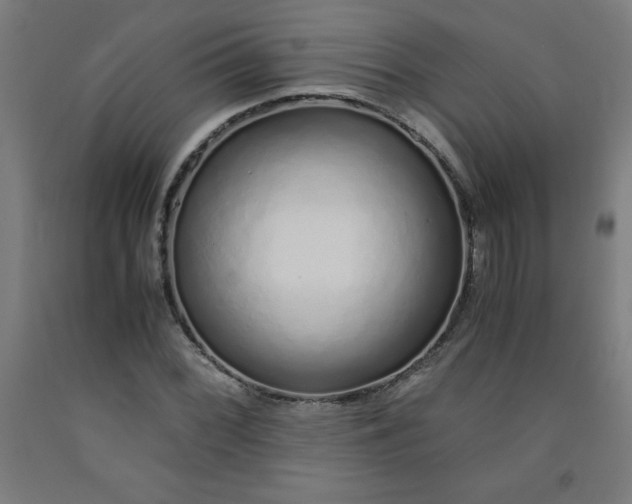 X0000091861068200709261250