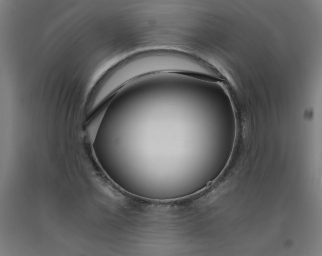 X0000091861069200709261250