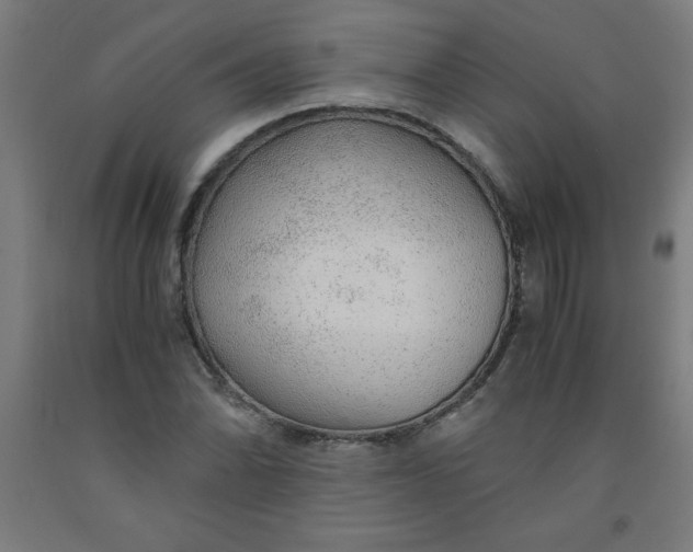 X0000091861070200709261250