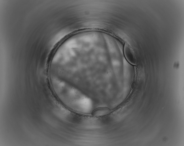 X0000091861071200709261250