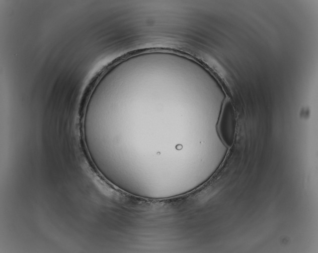 X0000091861072200709261250