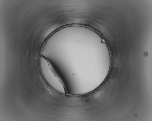 X0000091861073200709261250