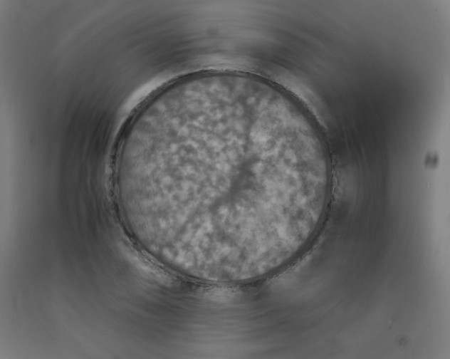 X0000091861074200709261249