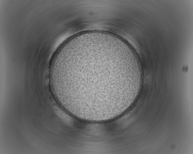 X0000091861075200709261249