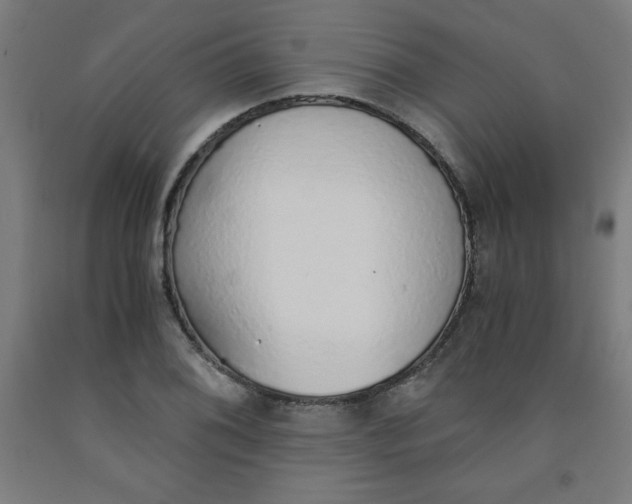 X0000091861076200709261249