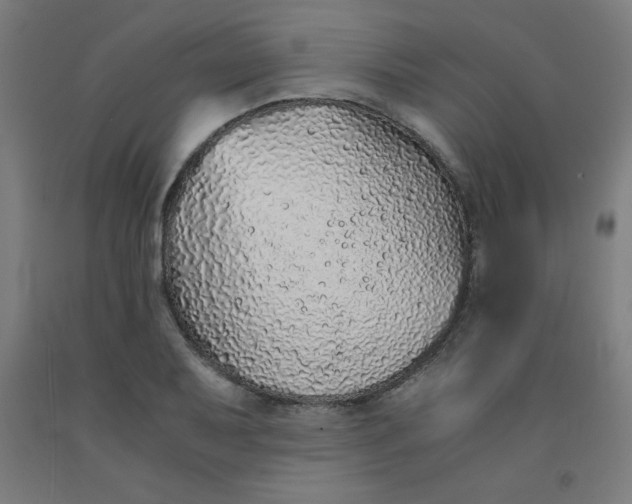 X0000091861079200709261249