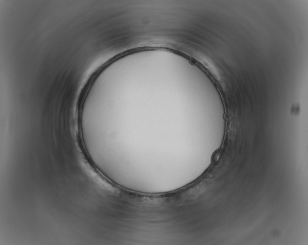 X0000091861080200709261249