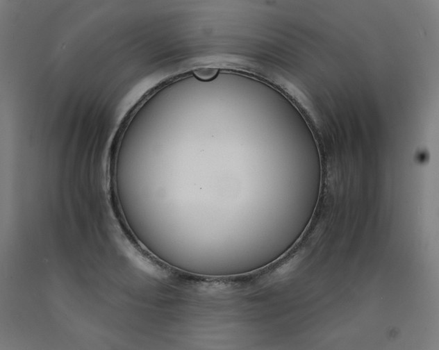 X0000091861082200709261249