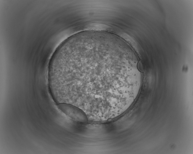 X0000091861083200709261249