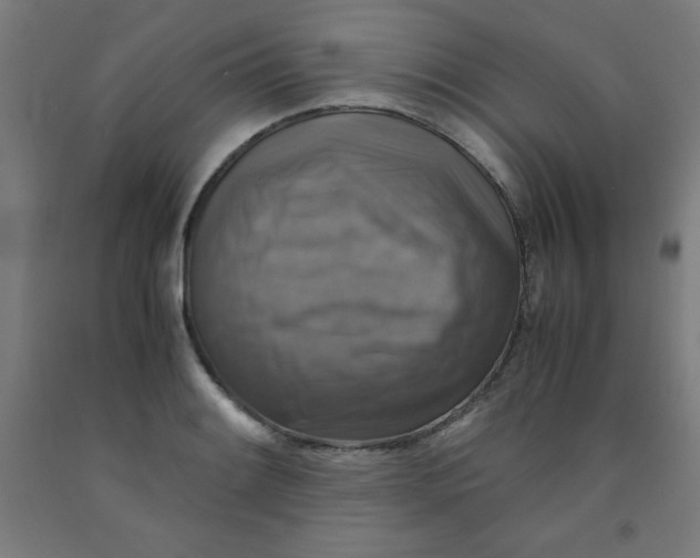 X0000091861084200709261249