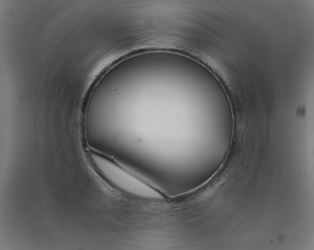 X0000091861085200709261249