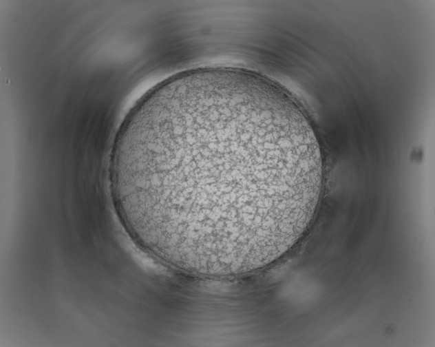 X0000091861086200709261249