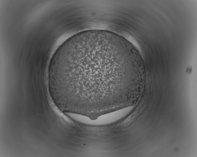 X0000091861088200709261249