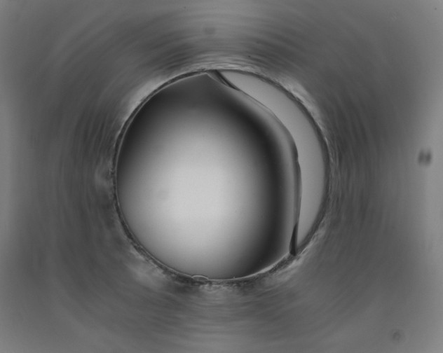 X0000091861089200709261249