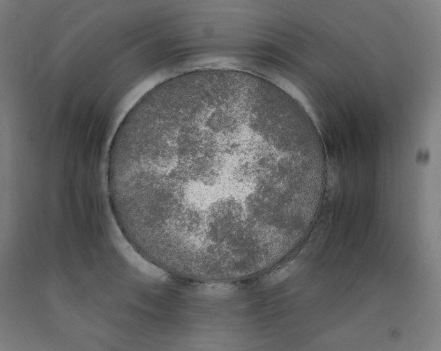 X0000091861090200709261249