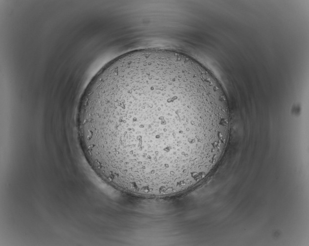 X0000091861091200709261249