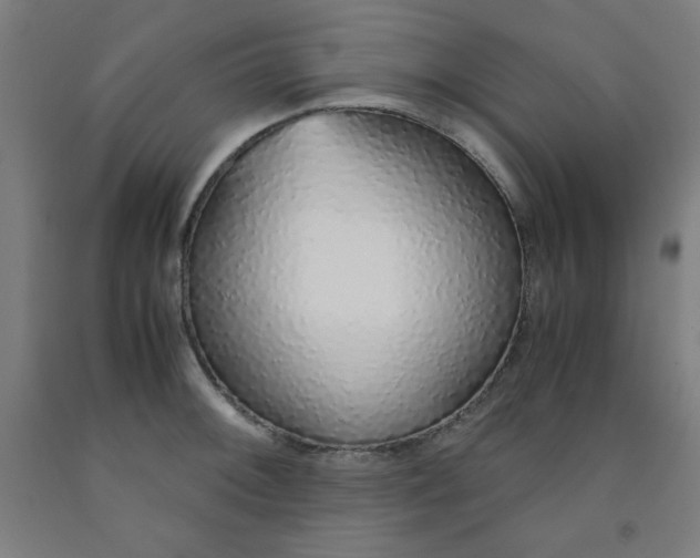 X0000091861092200709261249