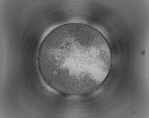 X0000091861094200709261249