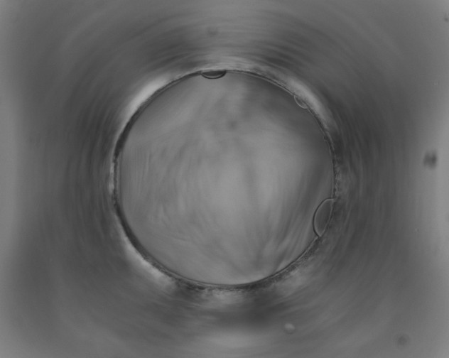 X0000091861095200709261249