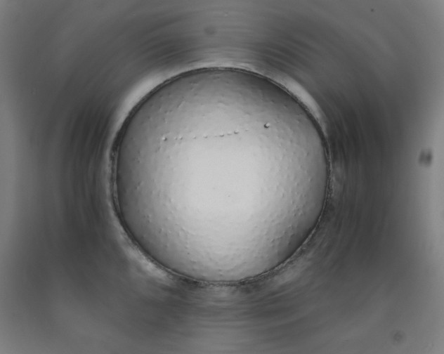 X0000091861096200709261249