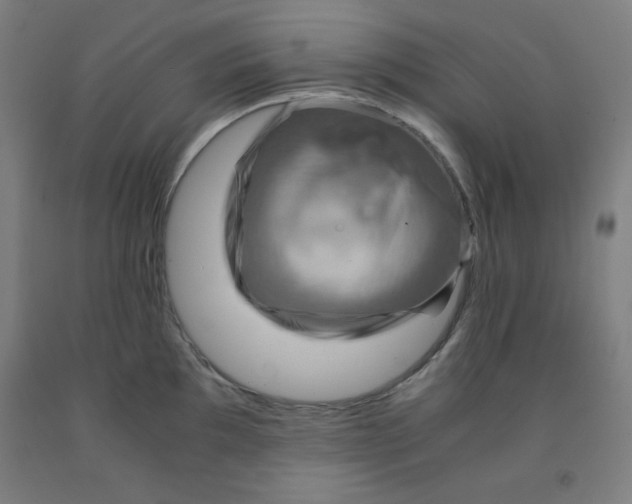 X0000091861097200709261249